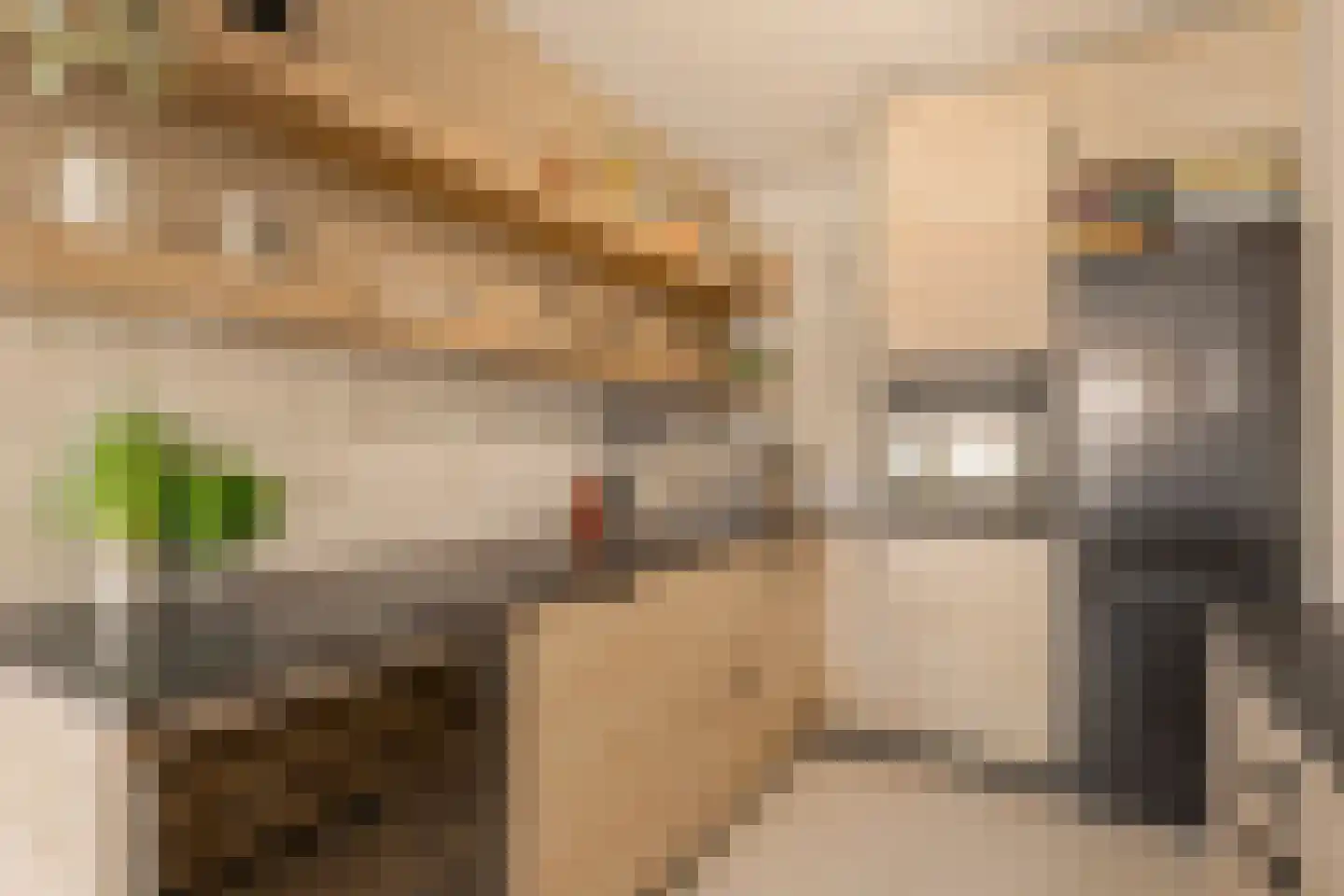 Bos en Lommerplein 82 Amsterdam thumbnail 15