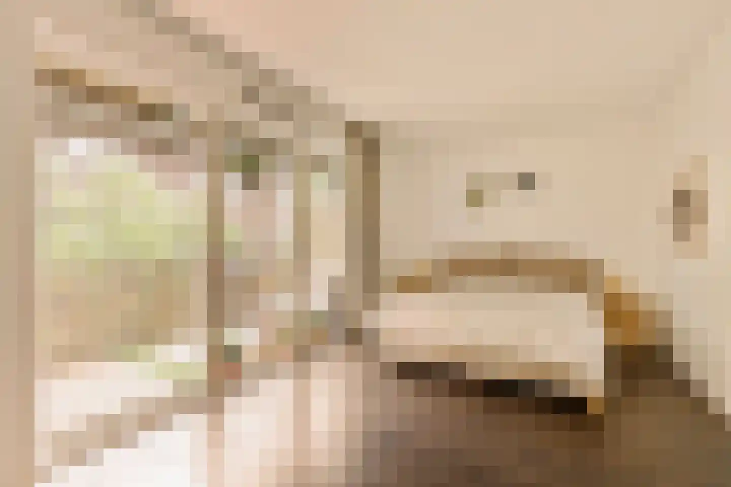 Bos en Lommerplein 82 Amsterdam thumbnail 19