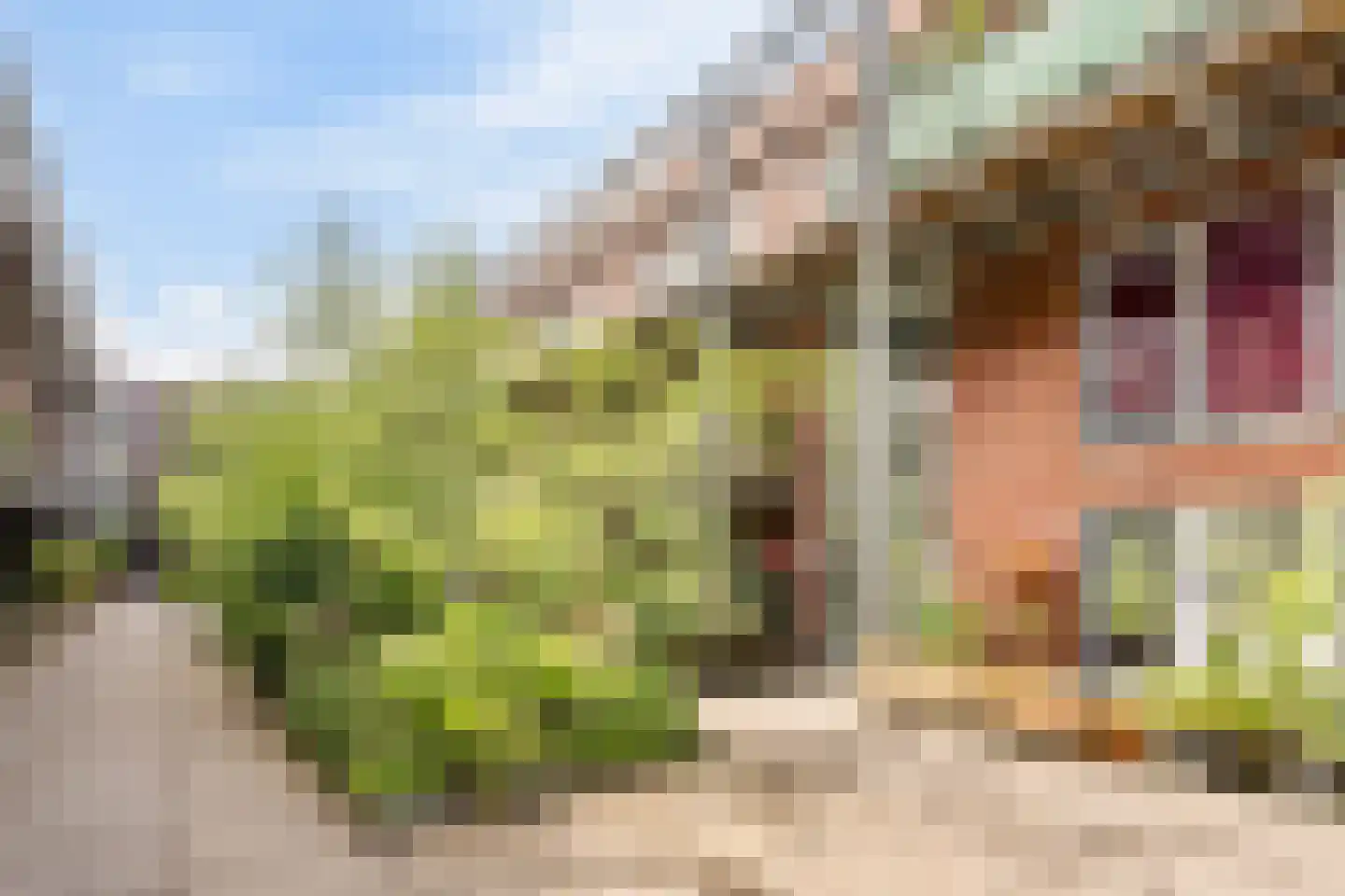 Bos en Lommerplein 82 Amsterdam thumbnail 28
