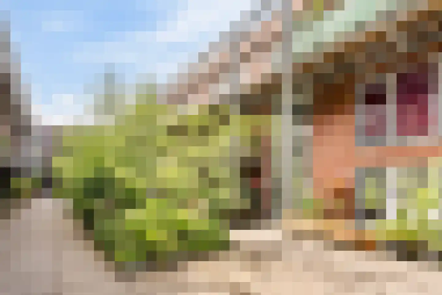 Bos en Lommerplein 82 Amsterdam thumbnail 28