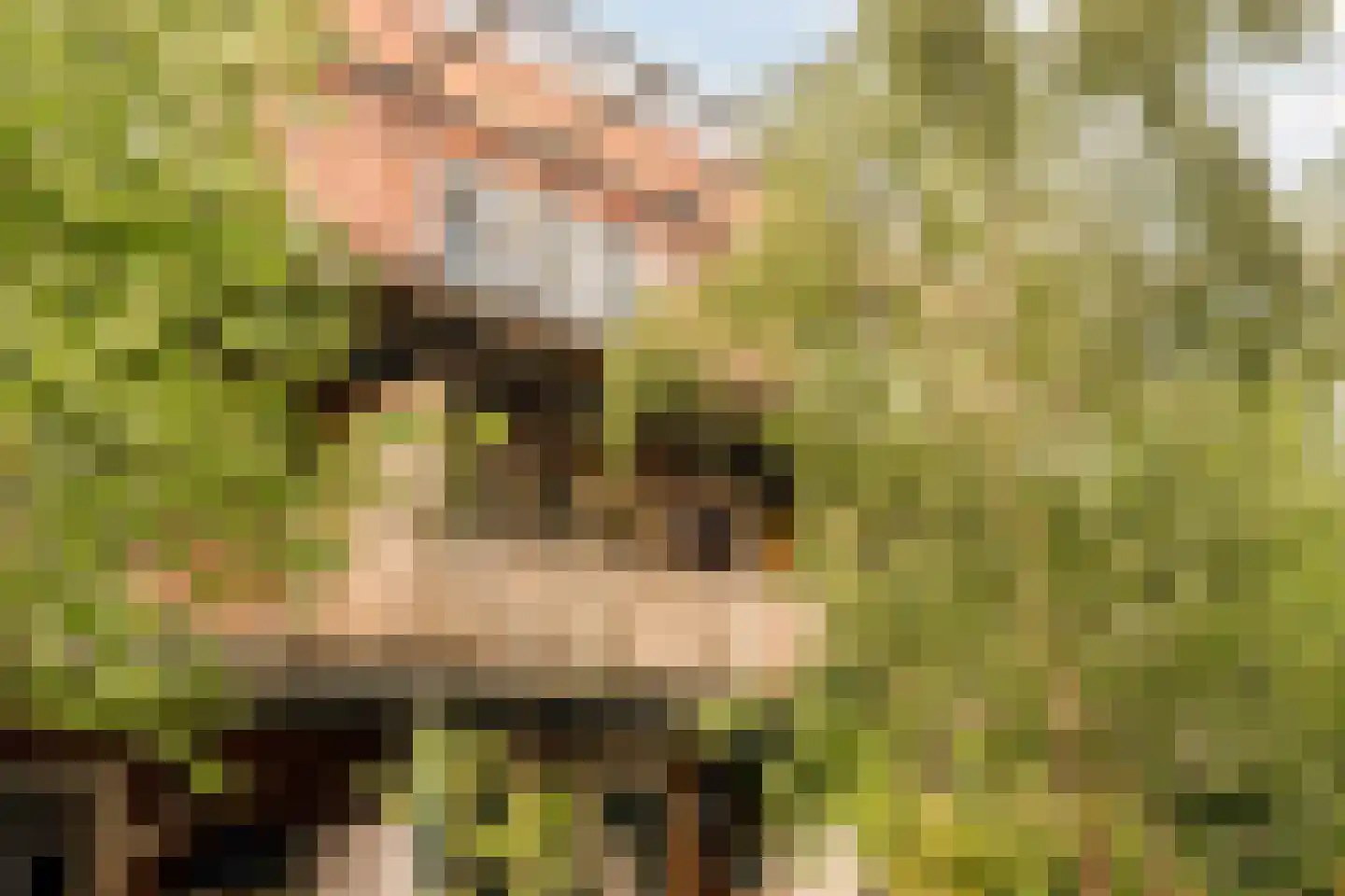 Bos en Lommerplein 82 Amsterdam thumbnail 4