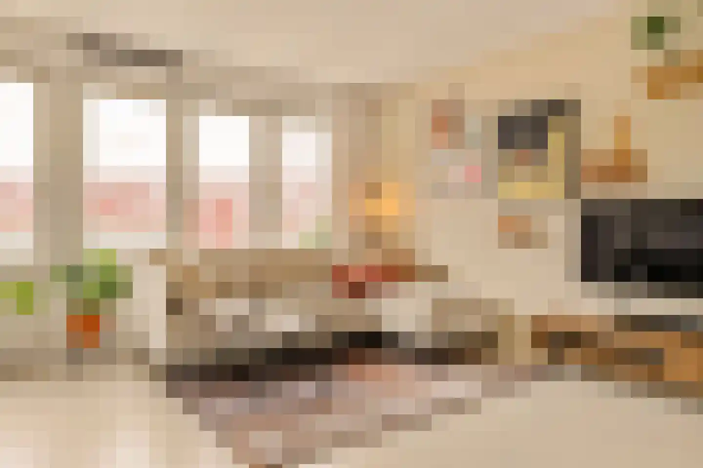 Bos en Lommerplein 82 Amsterdam thumbnail 8