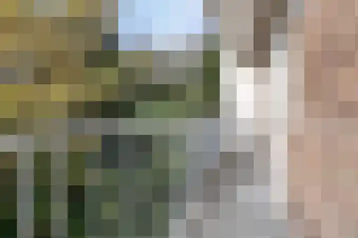 Bos en Lommerweg 10 1 Amsterdam thumbnail 17