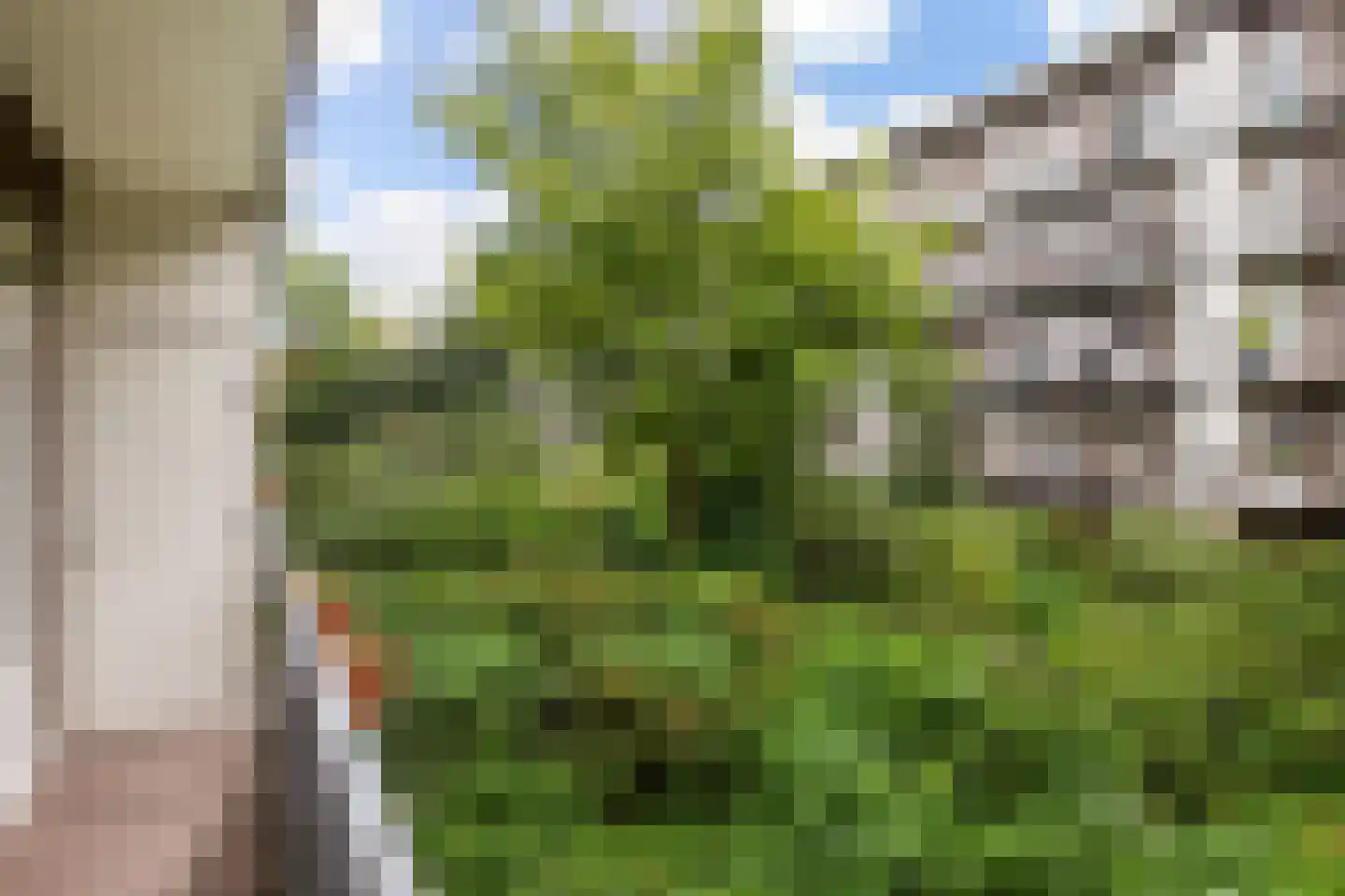 Bos en Lommerweg 12 H Amsterdam thumbnail 20