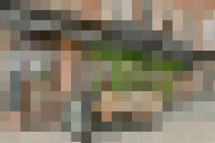 Bos en Lommerweg 128 2 Amsterdam thumbnail 14