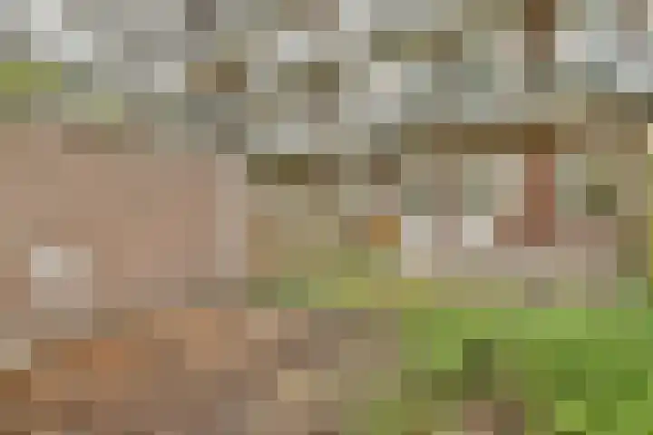 Bos en Lommerweg 128 2 Amsterdam thumbnail 6