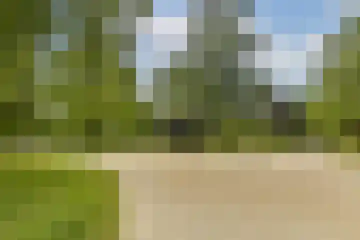 Bos en Lommerweg 129 2 Amsterdam thumbnail 16