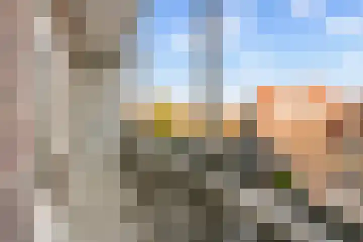 Bos en Lommerweg 129 2 Amsterdam thumbnail 23