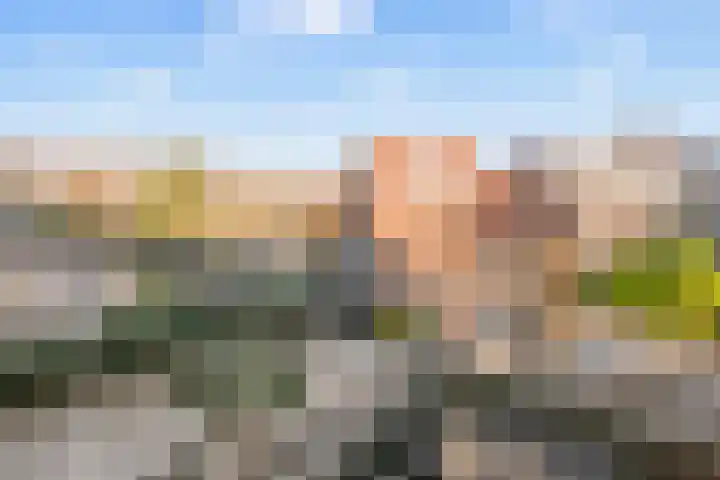 Bos en Lommerweg 129 2 Amsterdam thumbnail 24
