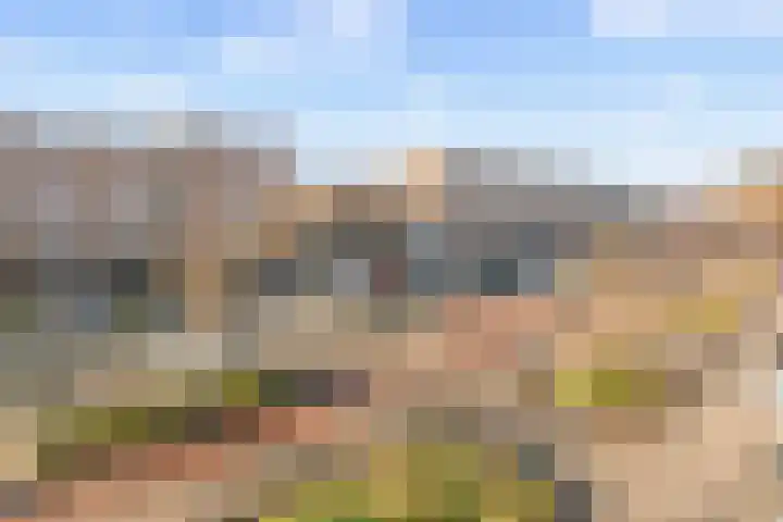 Bos en Lommerweg 129 2 Amsterdam thumbnail 7