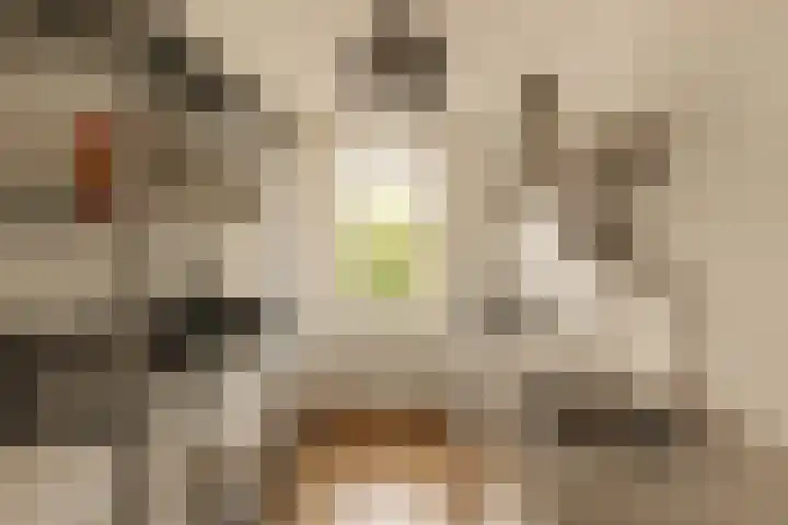 Bos en Lommerweg 142 2 Amsterdam thumbnail 13