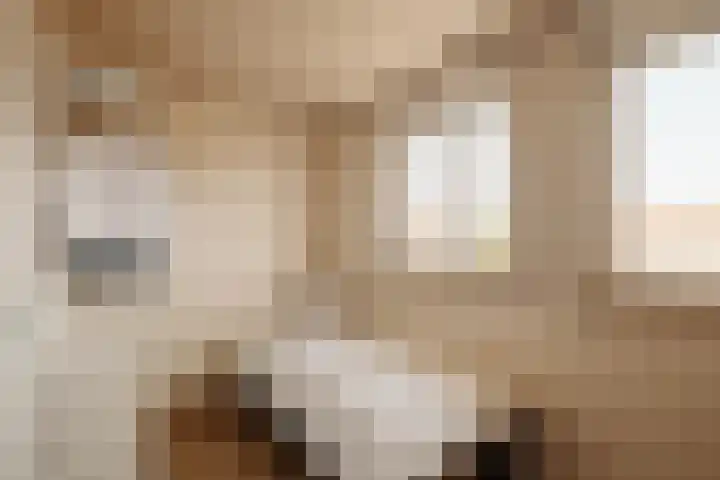 Bos en Lommerweg 142 2 Amsterdam thumbnail 19