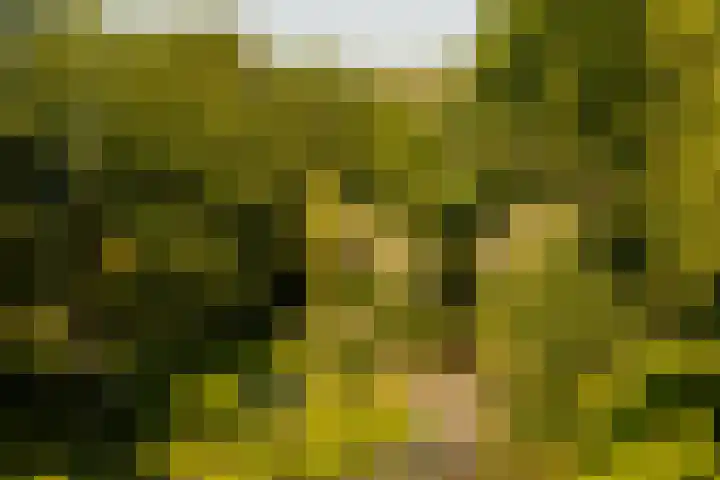 Bos en Lommerweg 142 2 Amsterdam thumbnail 23