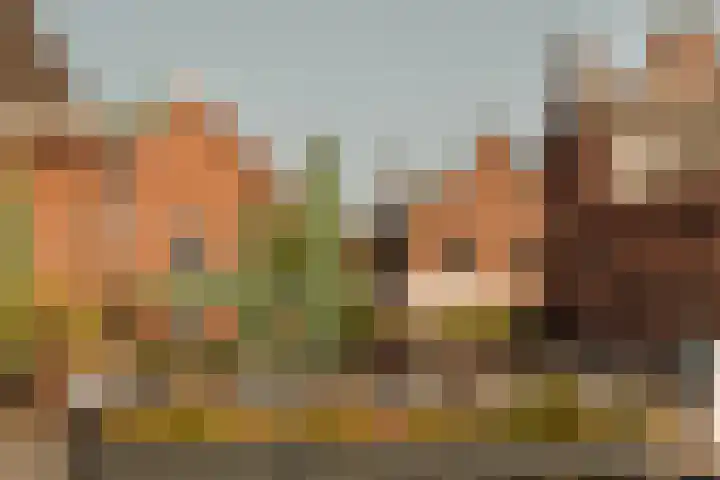 Bos en Lommerweg 142 2 Amsterdam thumbnail 24