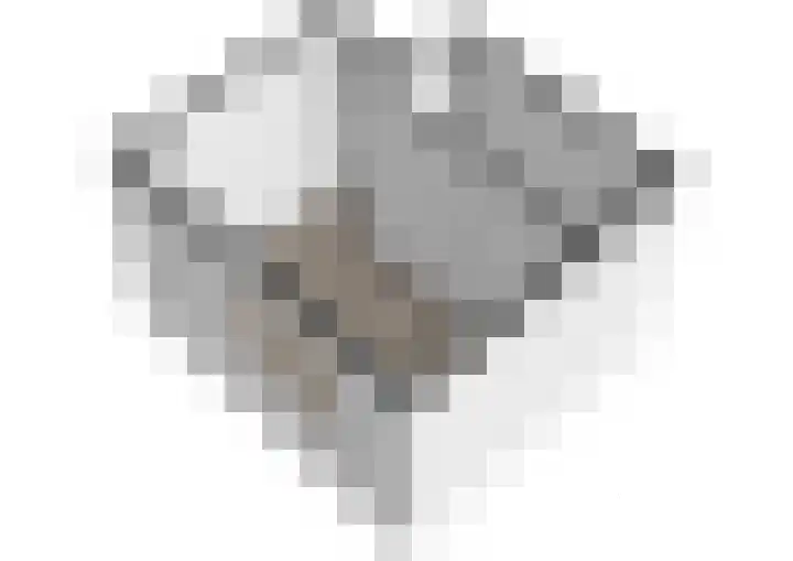 Bos en Lommerweg 142 2 Amsterdam thumbnail 29