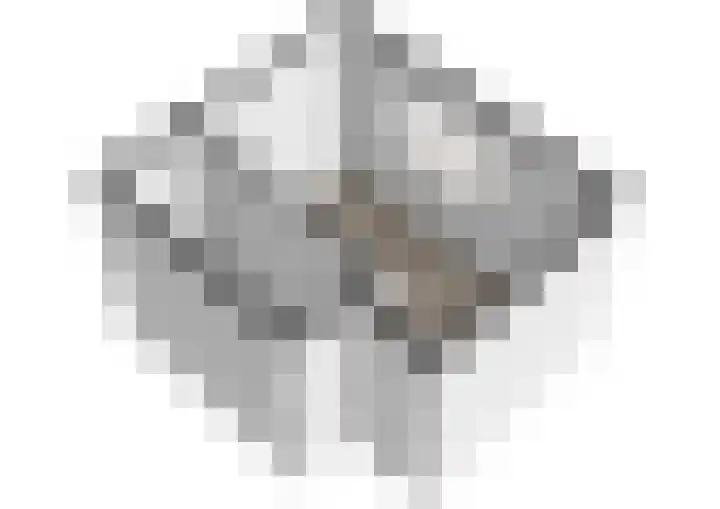Bos en Lommerweg 142 2 Amsterdam thumbnail 30