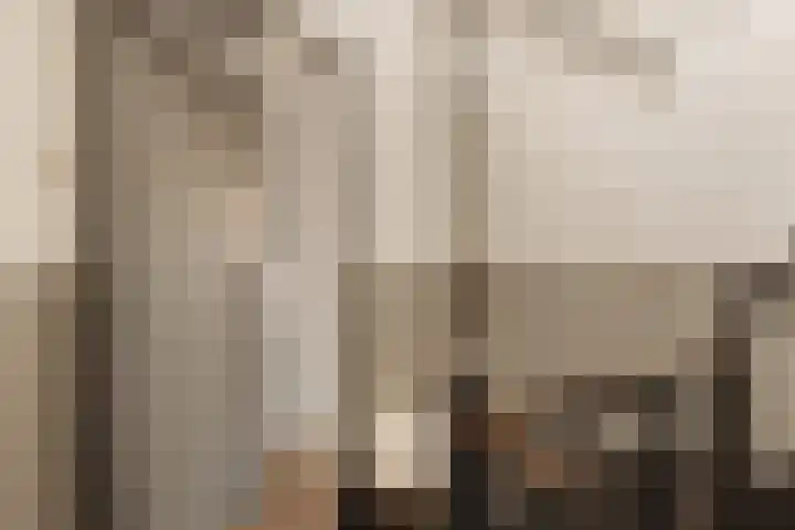 Bos en Lommerweg 142 2 Amsterdam thumbnail 5