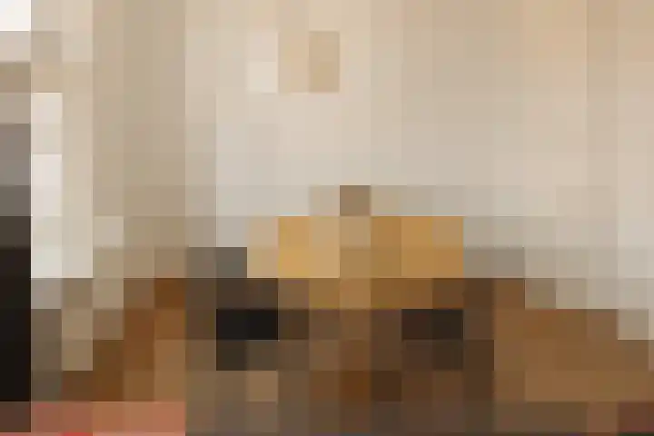 Bos en Lommerweg 142 2 Amsterdam thumbnail 6