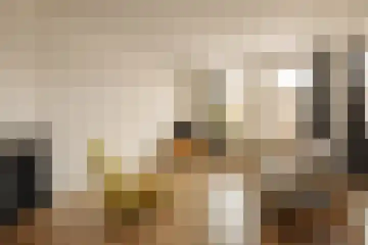 Bos en Lommerweg 142 2 Amsterdam thumbnail 7