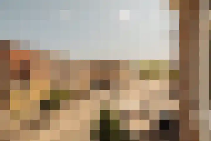 Bos en Lommerweg 142 2 Amsterdam thumbnail 8