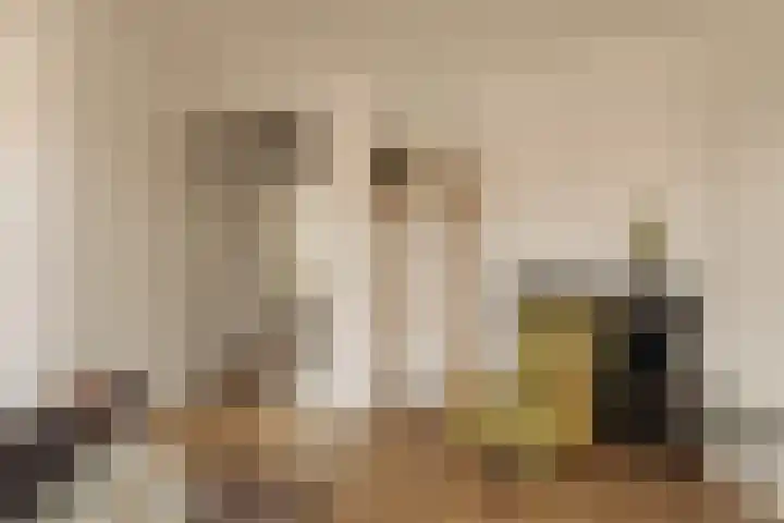 Bos en Lommerweg 142 2 Amsterdam thumbnail 9