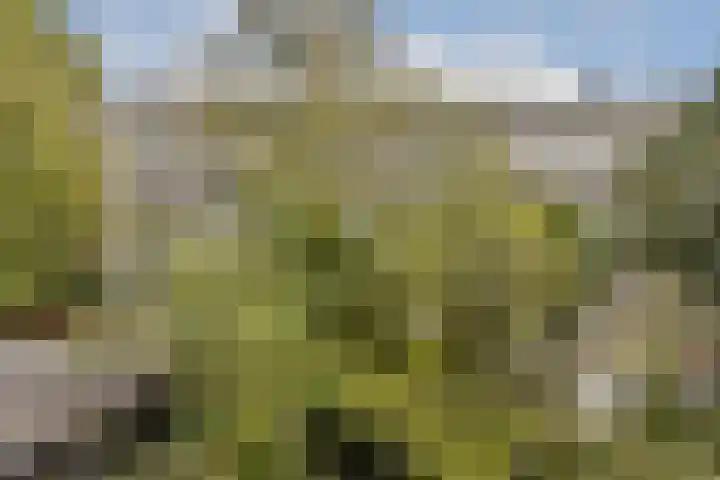 Bos en Lommerweg 145 3 Amsterdam thumbnail 10