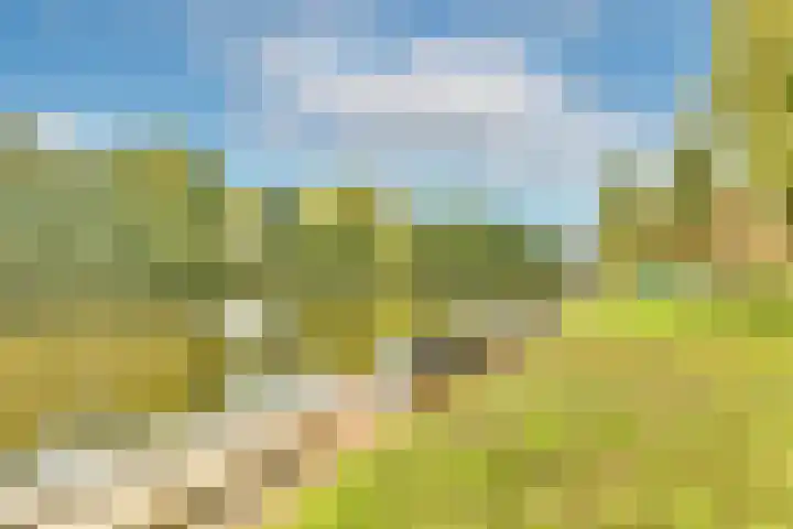 Bos en Lommerweg 145 3 Amsterdam thumbnail 17