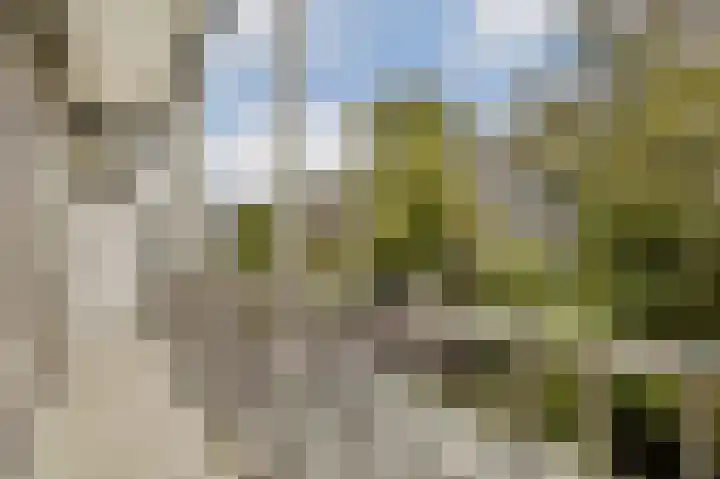 Bos en Lommerweg 145 3 Amsterdam thumbnail 9