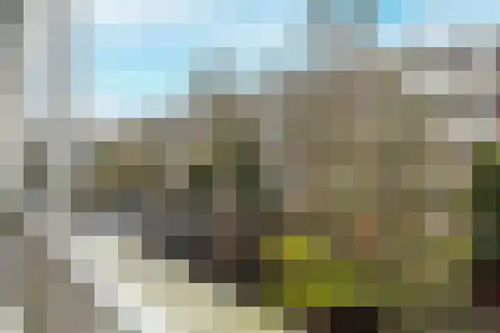 Bos en Lommerweg 147 1 Amsterdam thumbnail 19