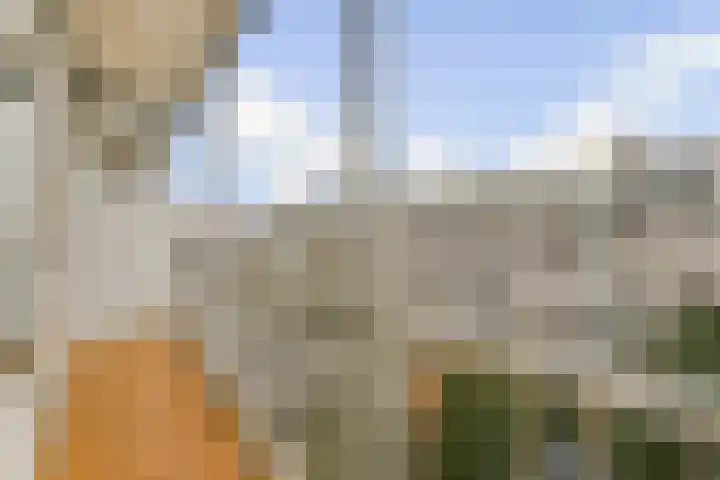 Bos en Lommerweg 153 1 Amsterdam thumbnail 10