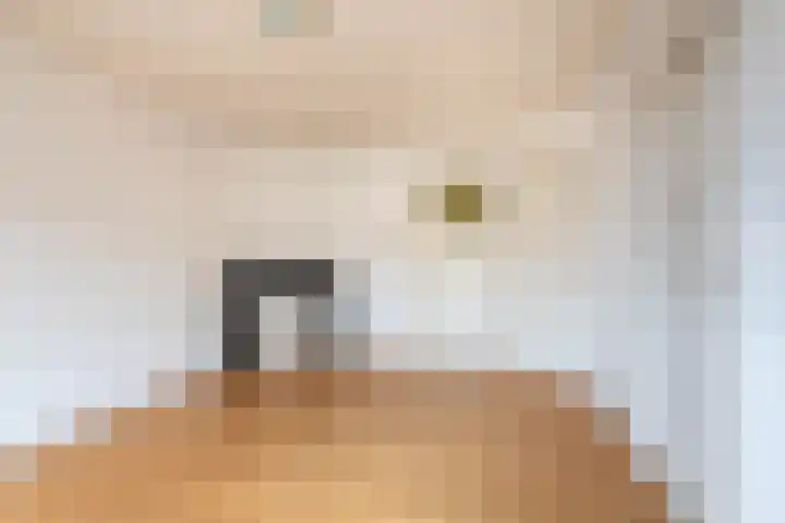 Bos en Lommerweg 153 1 Amsterdam thumbnail 11