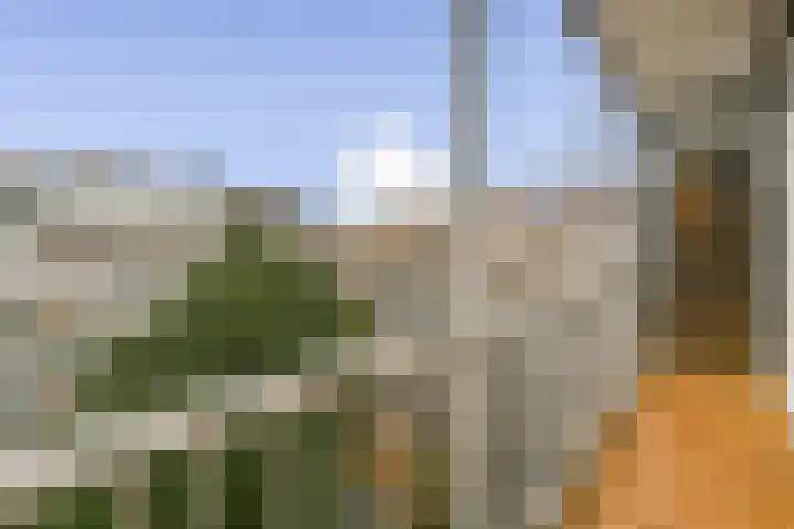 Bos en Lommerweg 153 1 Amsterdam thumbnail 11
