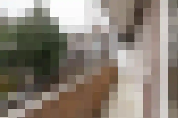 Bos en Lommerweg 153 1 Amsterdam thumbnail 19