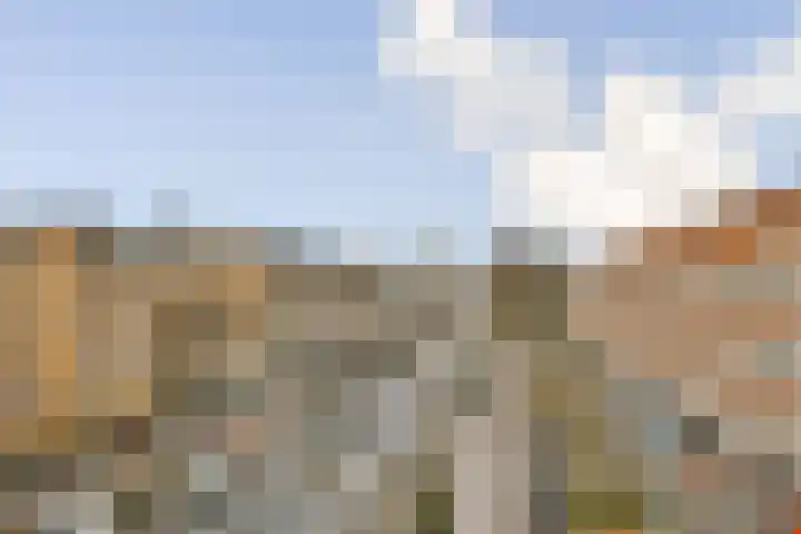 Bos en Lommerweg 153 1 Amsterdam thumbnail 20