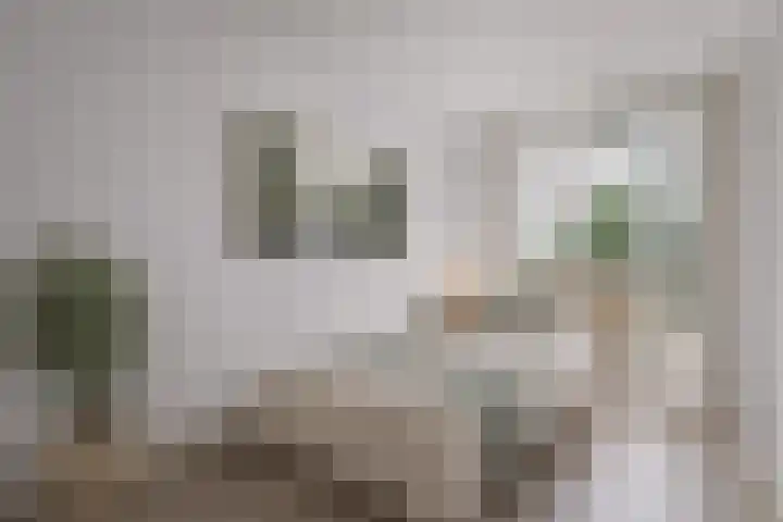 Bos en Lommerweg 153 1 Amsterdam thumbnail 5