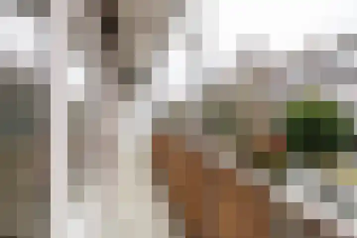 Bos en Lommerweg 153 1 Amsterdam thumbnail 7