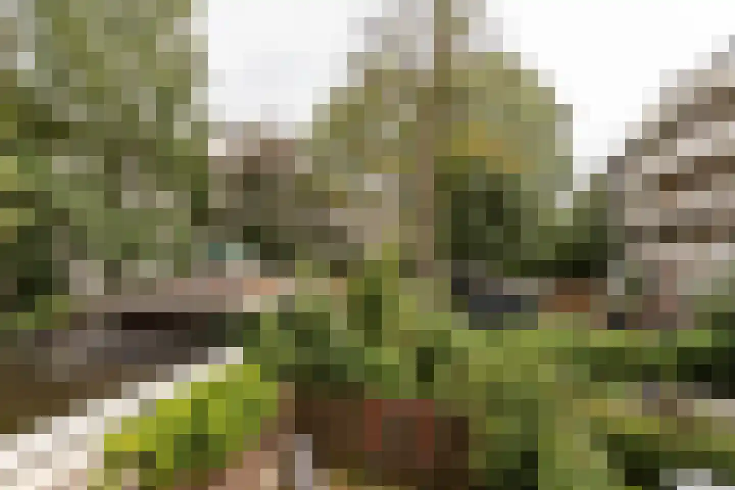 Bos en Lommerweg 177 1 Amsterdam thumbnail 15