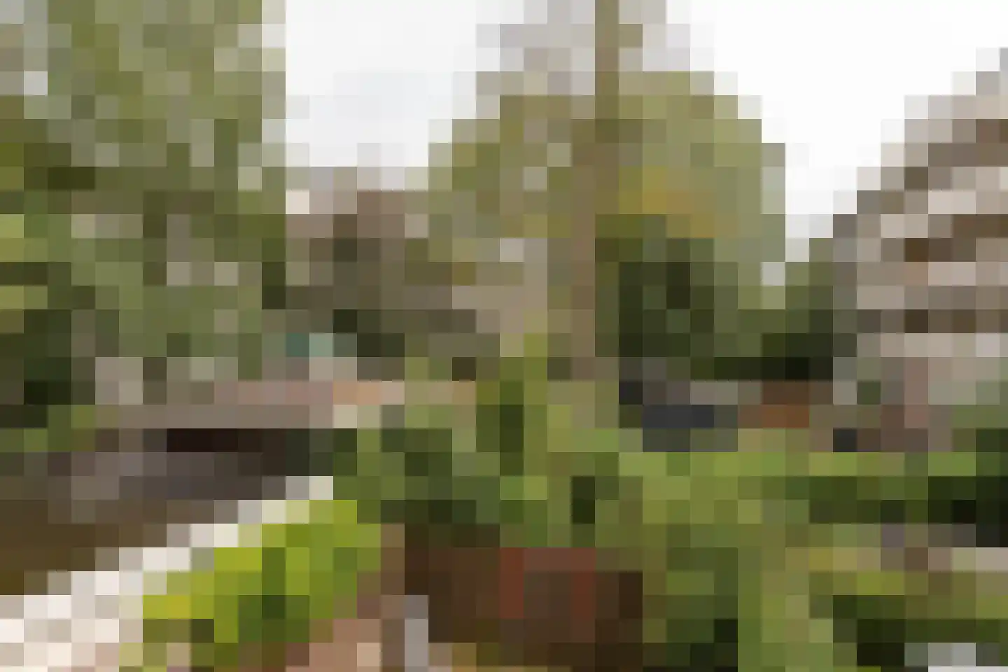 Bos en Lommerweg 177 1 Amsterdam thumbnail 16