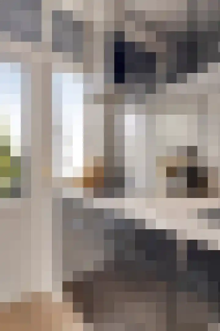 Bos en Lommerweg 177 4 Amsterdam thumbnail 14