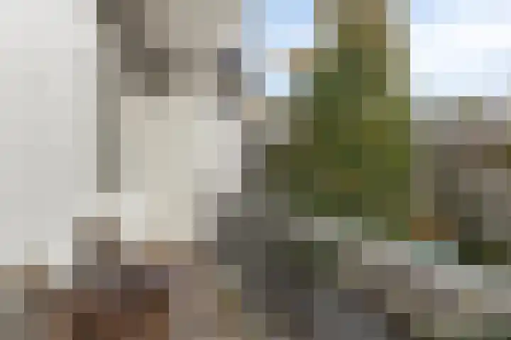 Bos en Lommerweg 177 4 Amsterdam thumbnail 16