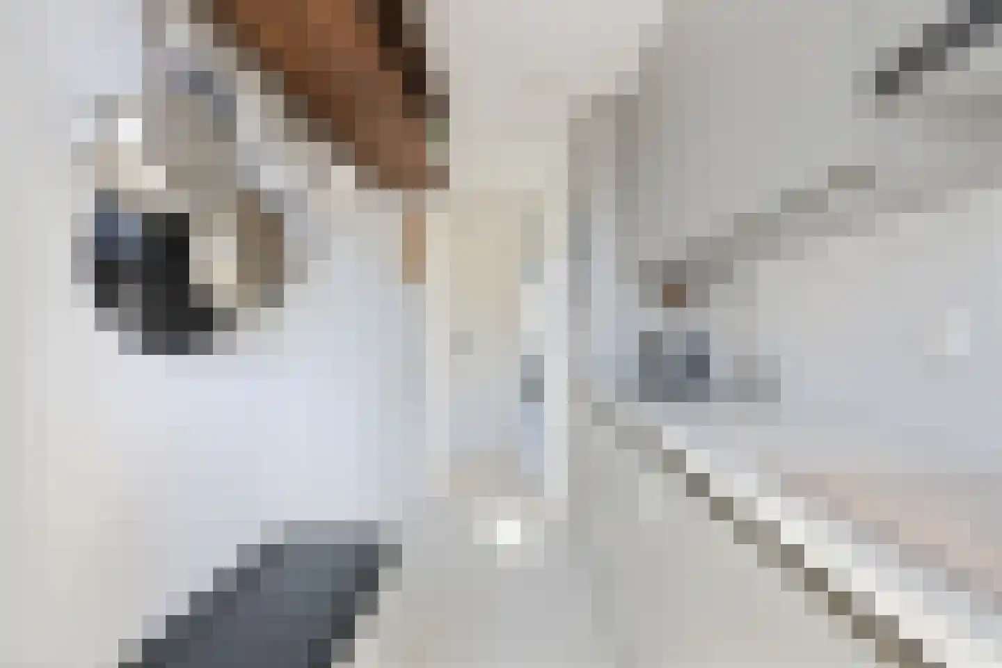 Bos en Lommerweg 18 H Amsterdam thumbnail 11