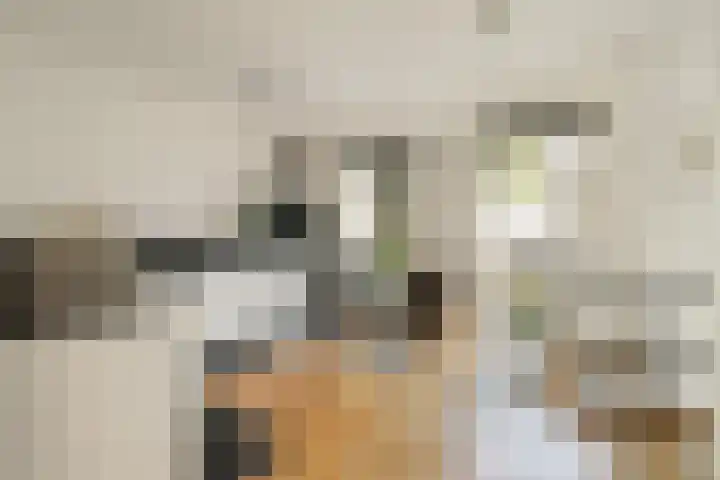 Bos en Lommerweg 21 2 Amsterdam thumbnail 11