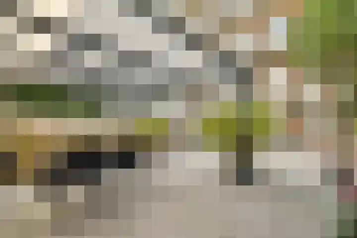 Bos en Lommerweg 21 2 Amsterdam thumbnail 16