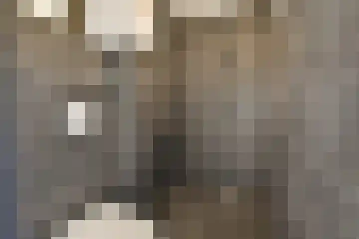 Bos en Lommerweg 21 2 Amsterdam thumbnail 20