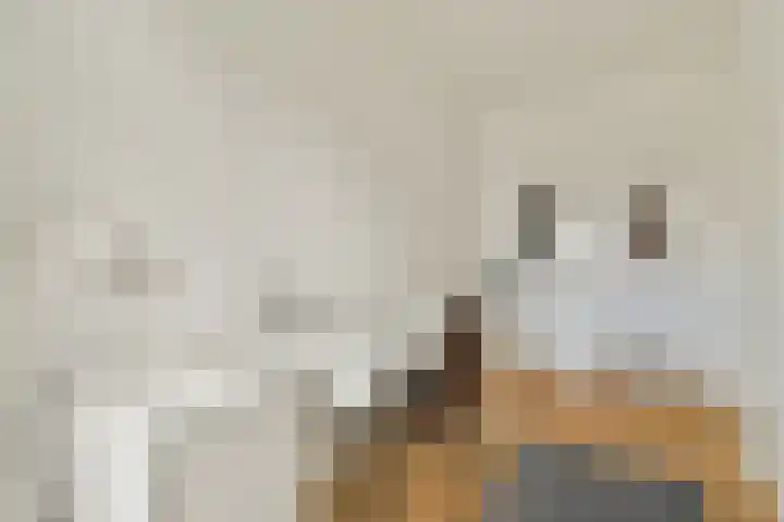 Bos en Lommerweg 21 2 Amsterdam thumbnail 22