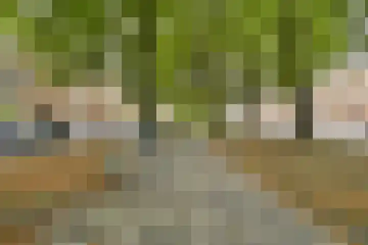 Bos en Lommerweg 21 2 Amsterdam thumbnail 24