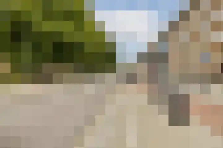 Bos en Lommerweg 21 2 Amsterdam thumbnail 25