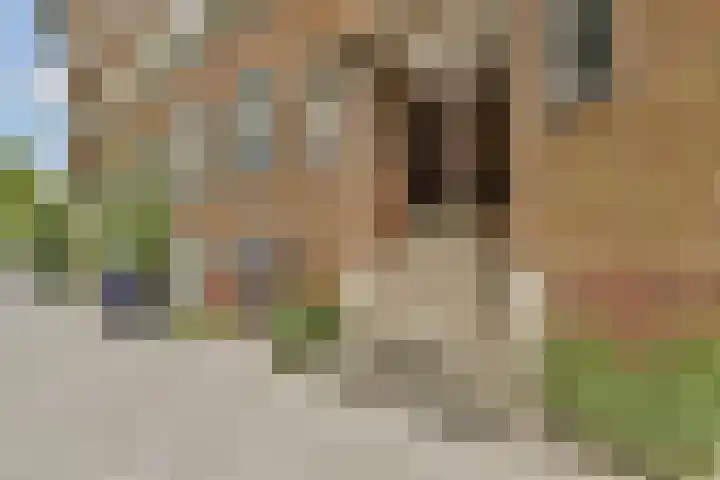 Bos en Lommerweg 21 2 Amsterdam thumbnail 4