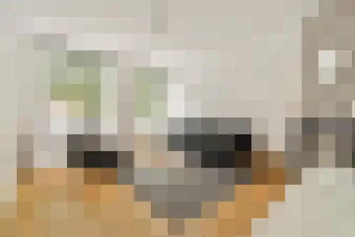 Bos en Lommerweg 21 2 Amsterdam thumbnail 7