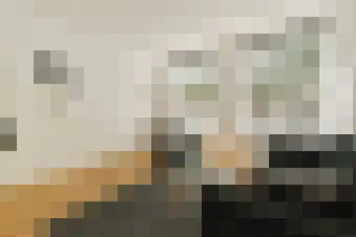 Bos en Lommerweg 21 2 Amsterdam thumbnail 8